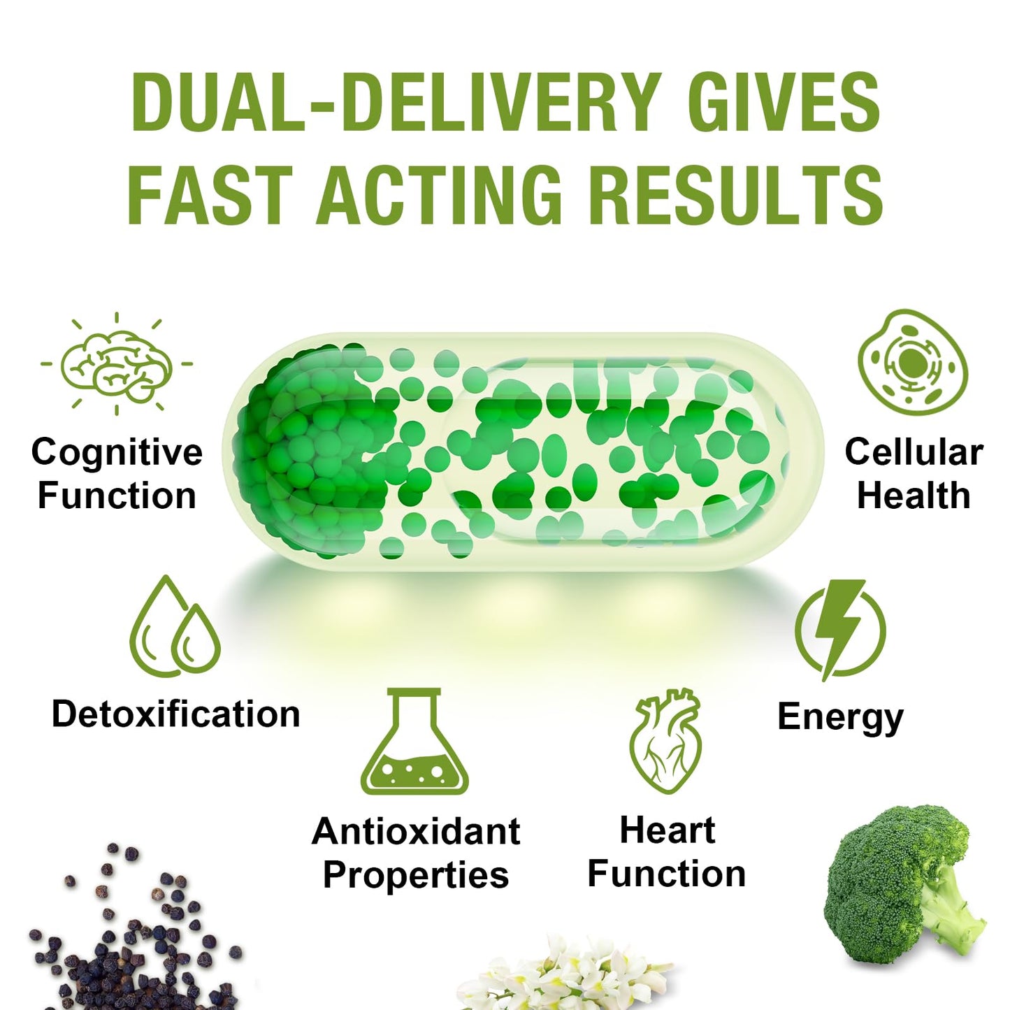800 mg Liposomal Sulforaphane โ Dual-Delivery, Full-Spectrum Broccoli Extract | 360 Softgels