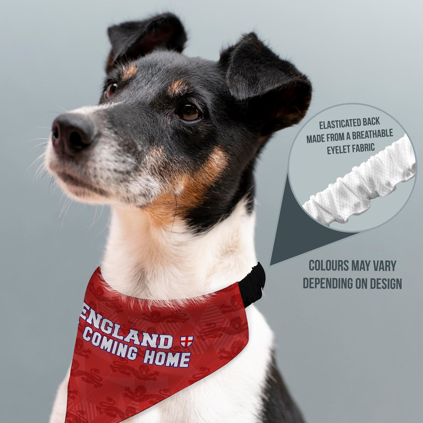 England Red Lion Pattern - Dog Bandana - 4 Sizes