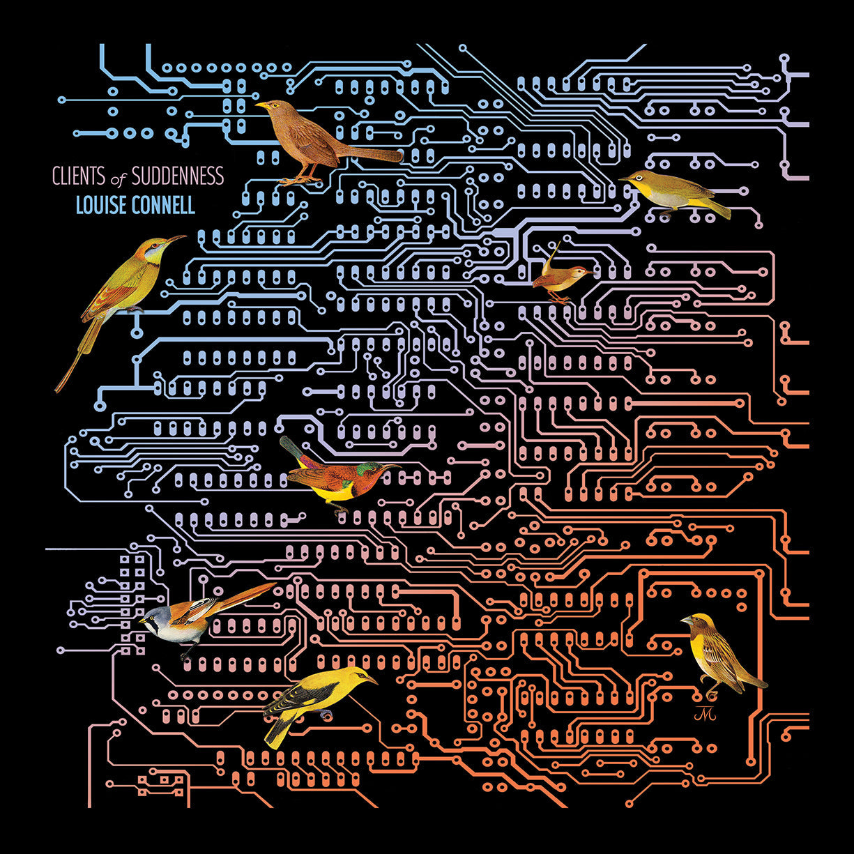 Louise Connell - Clients of Suddenness