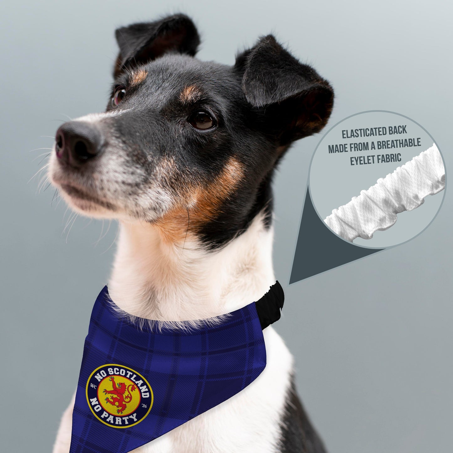 No Scotland No Party - Blue Tartan - Dog Bandana - 4 Sizes