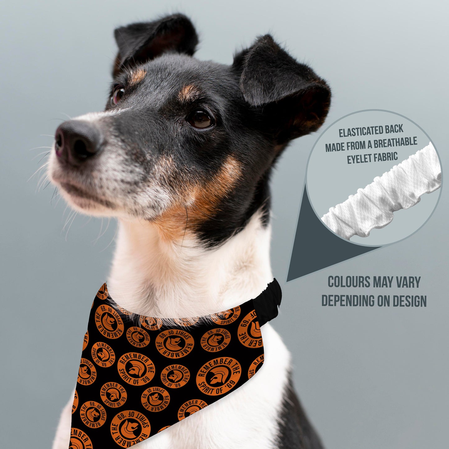 Remember The Spirit Of 69 - Orange - Dog Bandana - 4 Sizes