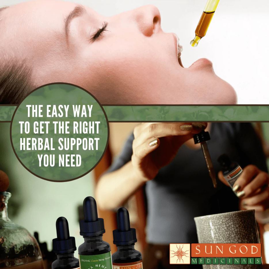 IMMUNE DEFENCE Organic Herbal Tincture - System Immunity Support
