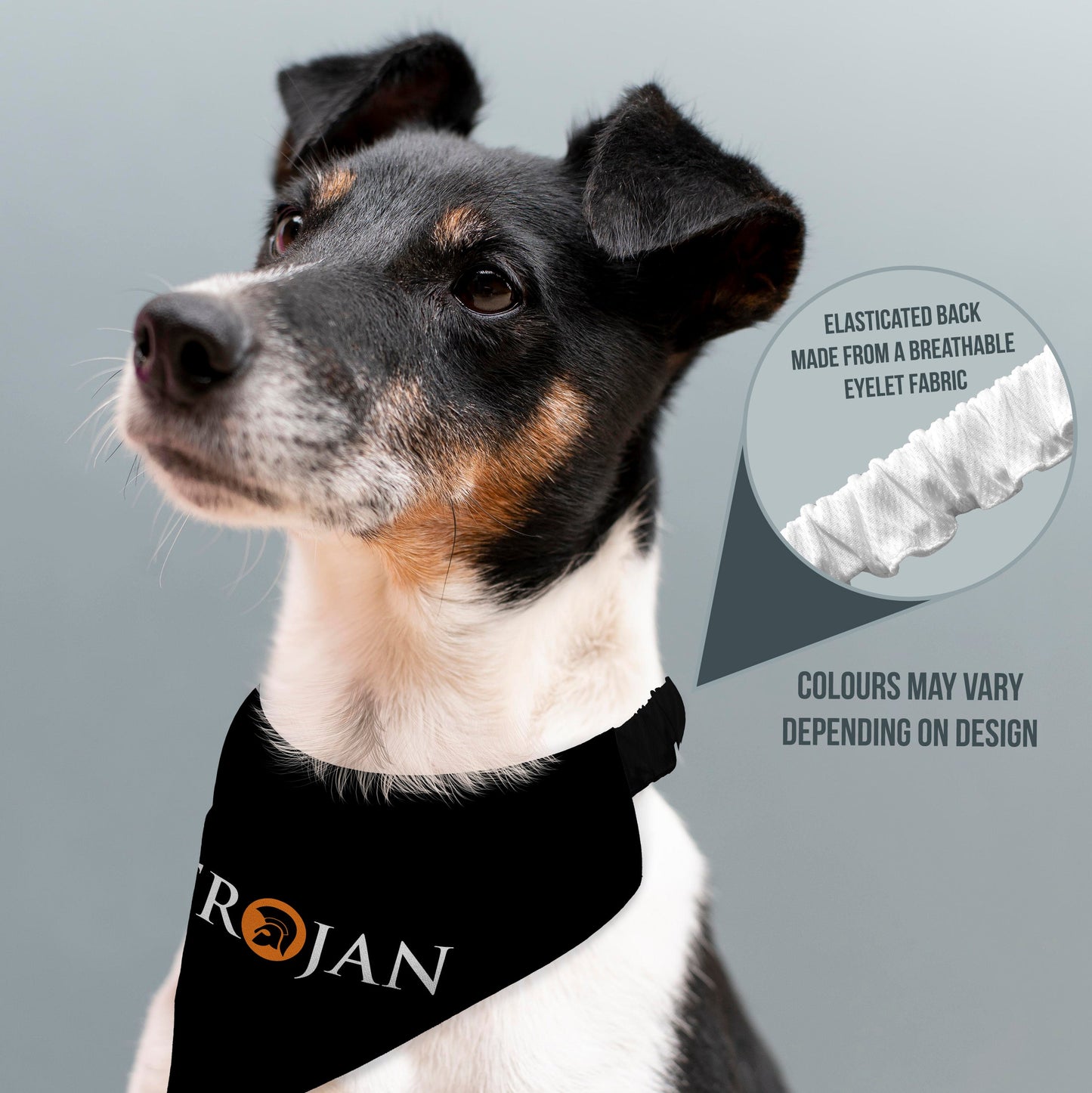Trojan - Dog Bandana - 4 Sizes