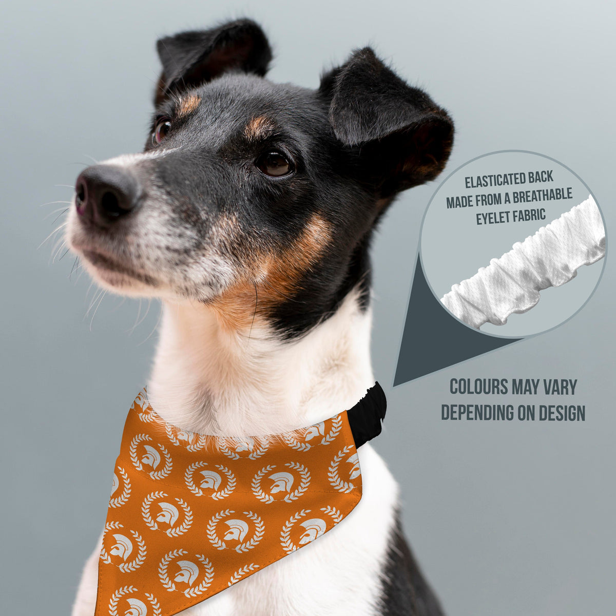 Trojan Laurel Leaf - Dog Bandana - 4 Sizes