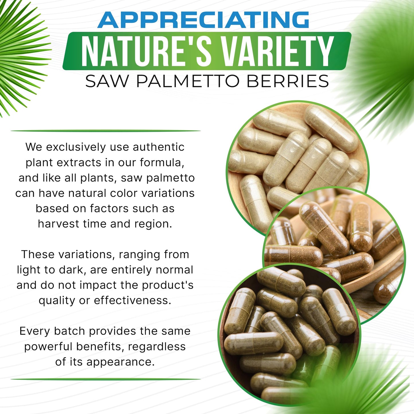 Advanced Nutrition Labs Saw Palmetto 1500 mg โ Prostate Health, Hair Support & DHT Blocker | 120 Vegan Capsules
