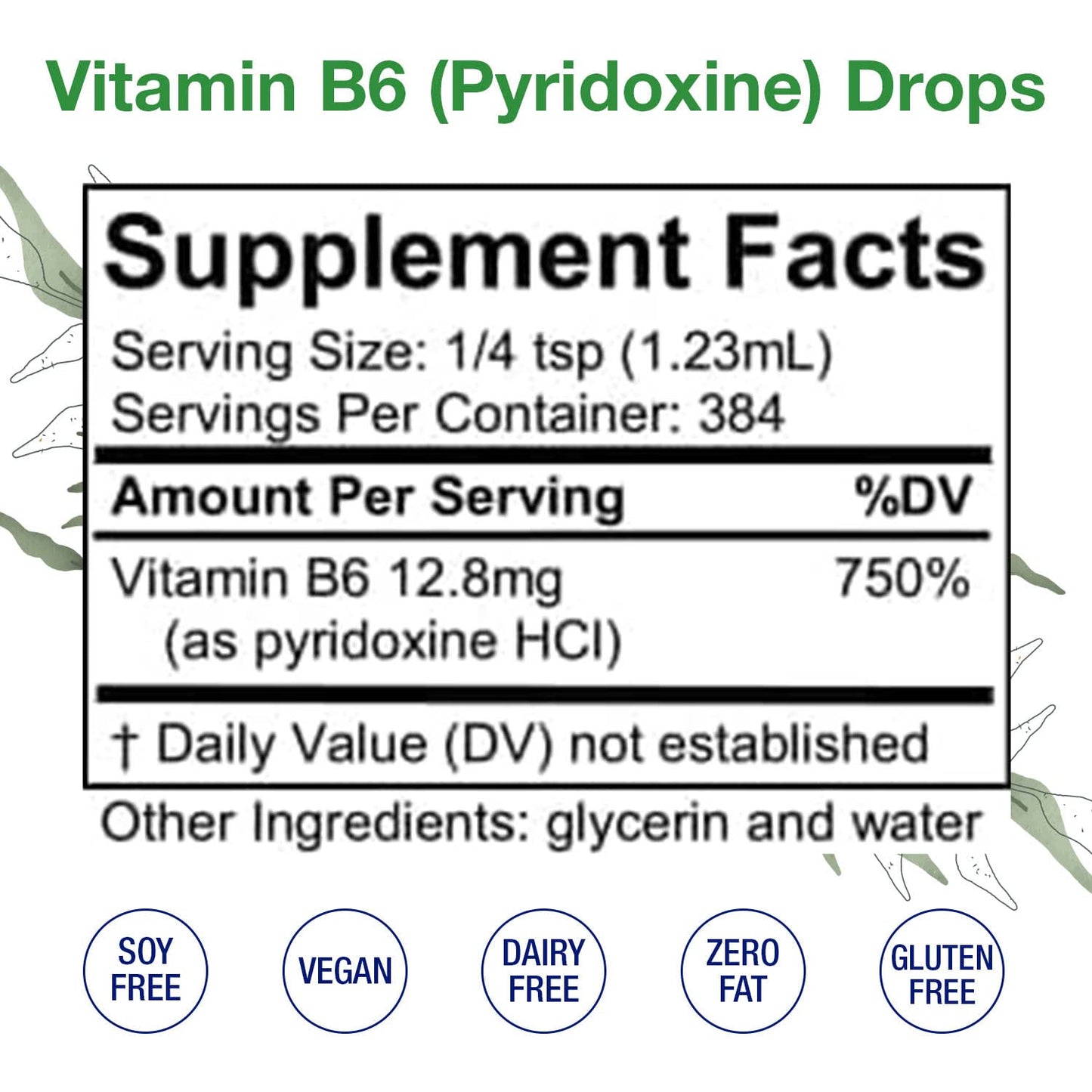 Vitamin B6 Drops (Pyridoxine) โ Liquid B Vitamin for Brain & Immune Support (Alcohol-Free, 16 oz)