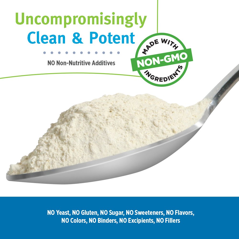 ALL ONE Multivitamin Powder โ Original Formula, Once Daily, 8g Protein, 66 Servings