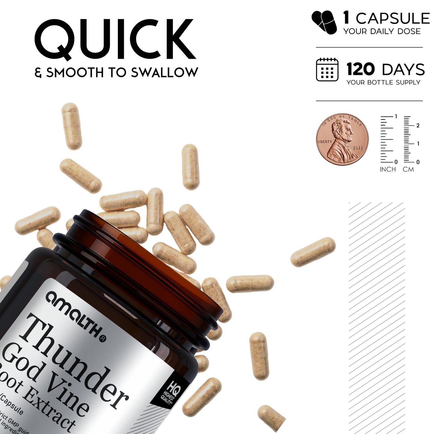 AMALTH Thunder God Vine Root Capsules โ Tripterygium Wilfordii Extract, 120 Capsules