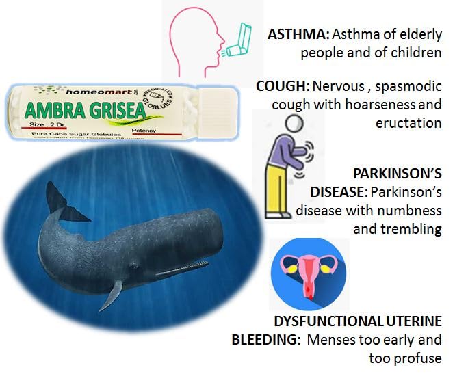 Ambra Grisea Homeopathy Pellets 200C (Pack of 3) โ HomeoMart