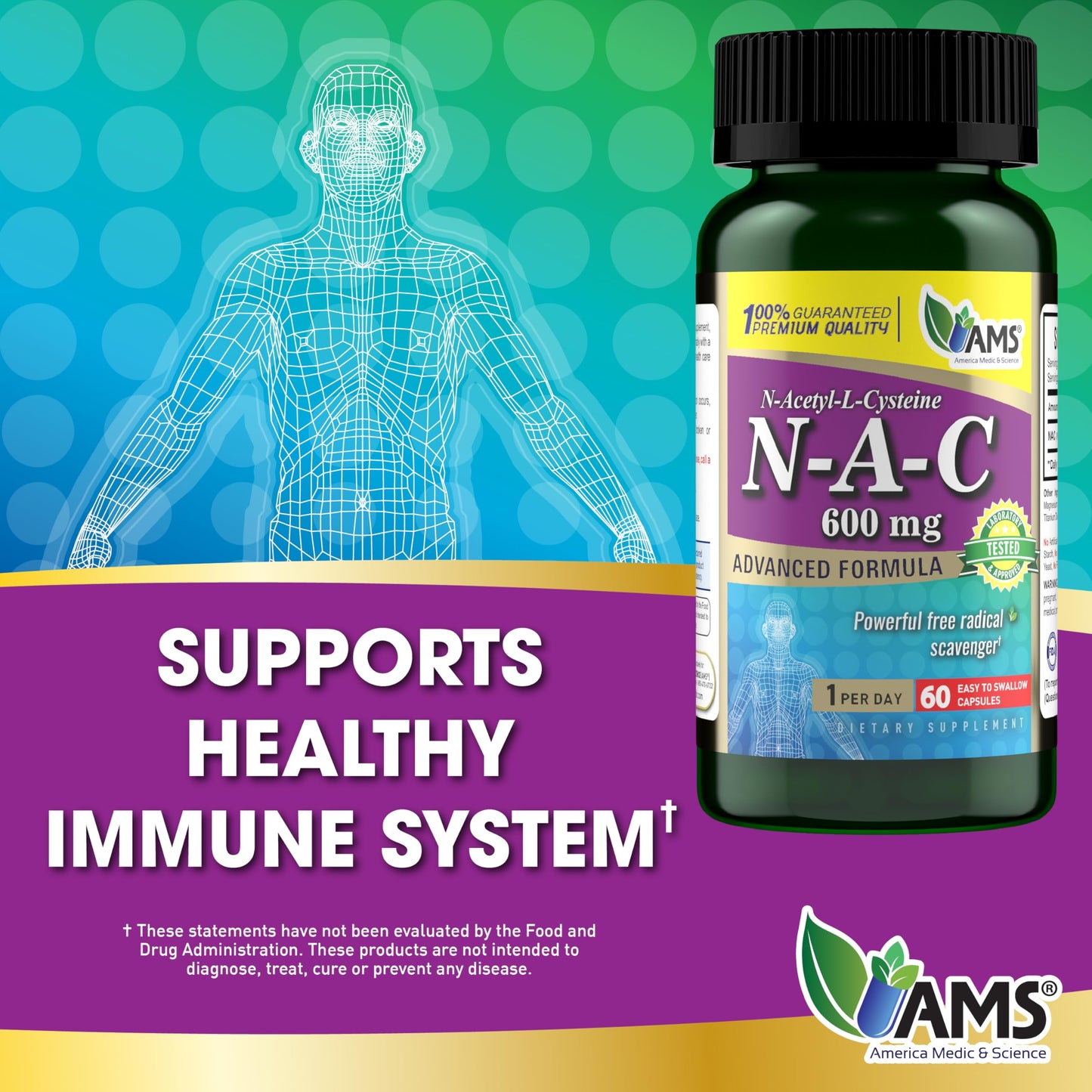 America Medic & Science NAC 600mg โ NAC Supplement for Lung Health & Immune Support | 60 Capsules