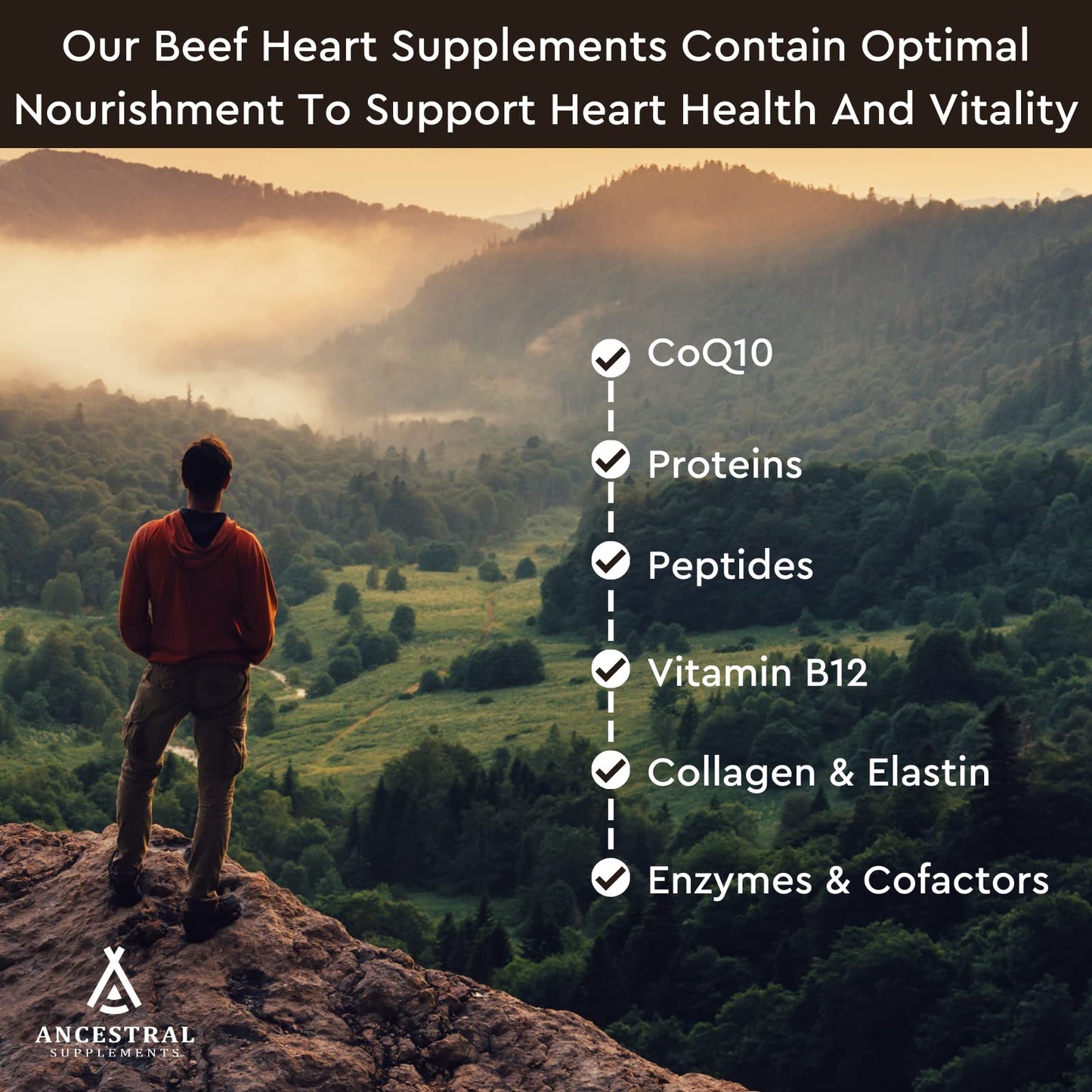 Ancestral Supplements Grass-Fed Beef Heart 3300mg β CoQ10, 180 Capsules, Non-GMO
