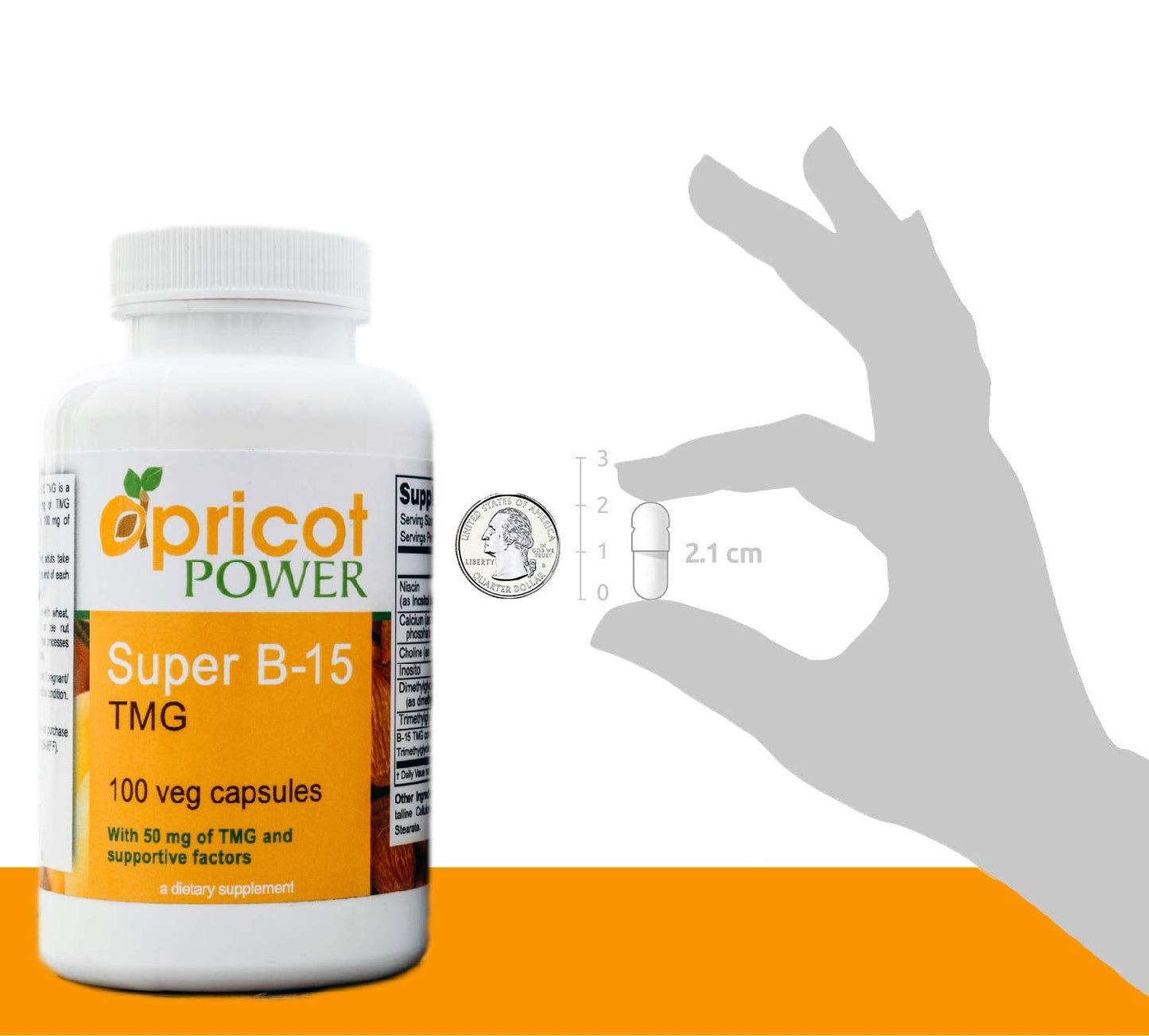 Apricot Power Super B-15 Pangamic Acid โ Non-Toxic B-15, 100 Veg Caps