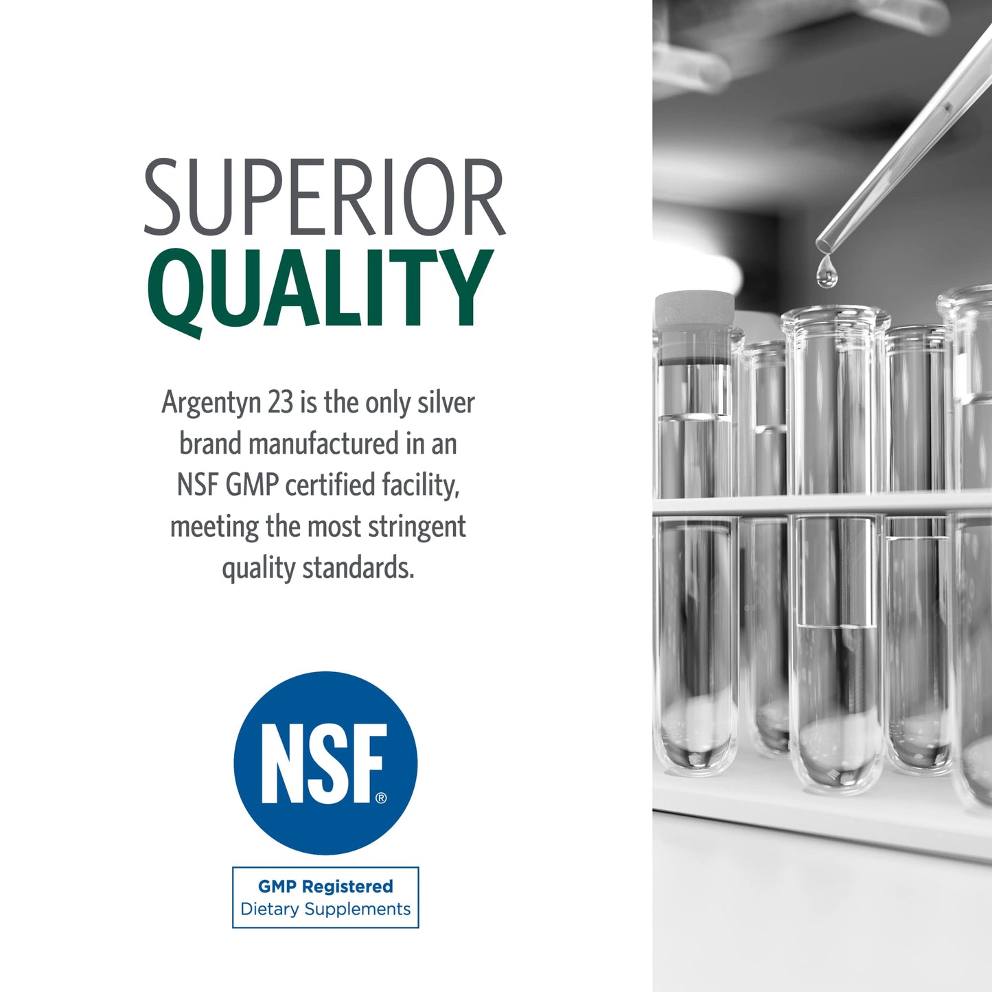 Argentyn 23 Sinus Relief - Colloidal Silver Nasal Spray, 23 ppm, 1 fl oz