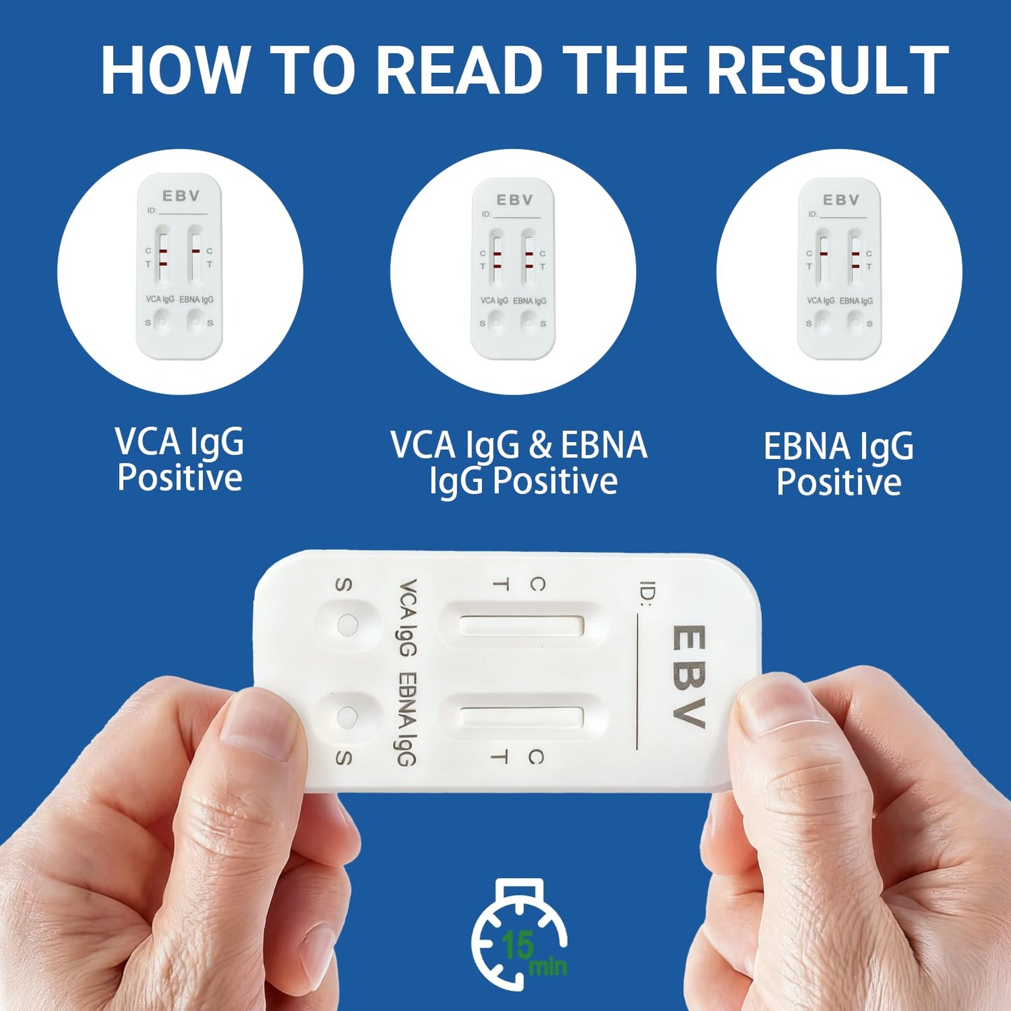 at-Home Epstein-Barr (EBV) Test Kit โ Finger-Prick Sample, No Lab Visit Needed โ Detects IgG to VCA & EBNA (In Vitro Diagnostic Use Only)