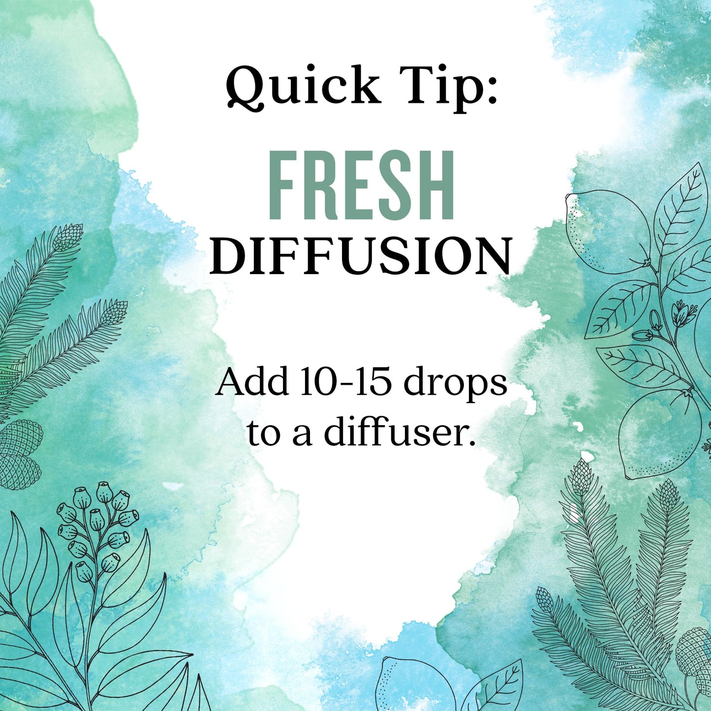 Aura Cacia Fresh Essential Oil Blend โ 0.25 fl oz Boxed | Light Aroma, No Synthetic Fragrances