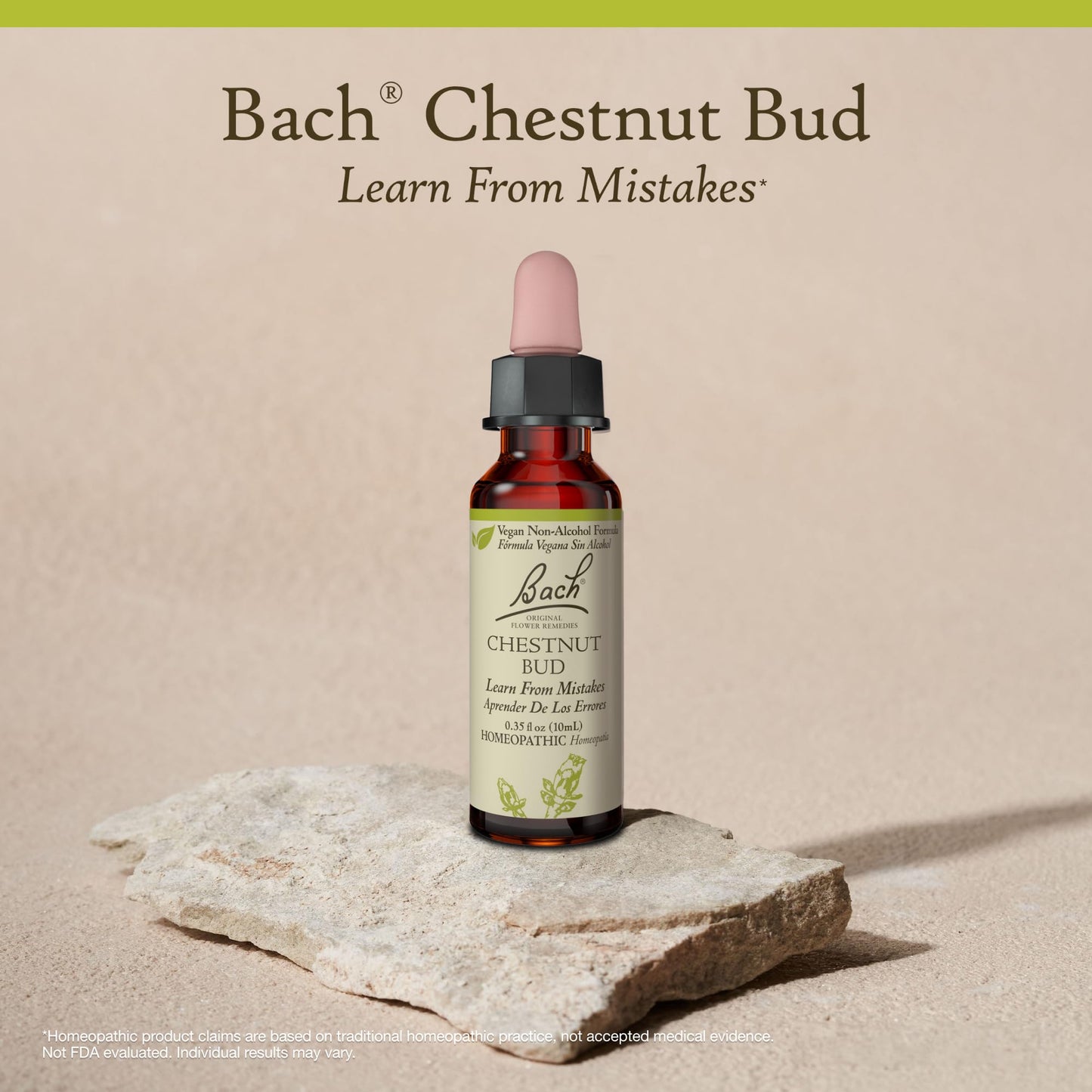Chestnut Bud Non-Alcohol Flower Remedy โ Bach Original | Learn From Mistakes | 10mL Dropper