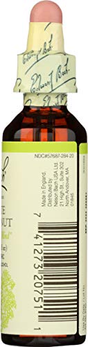 Bach Original Flower Remedies White Chestnut 0.68 Fl Oz โ Mental Clarity & Calm