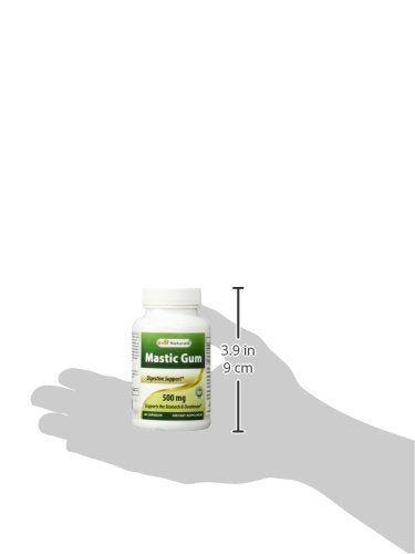 Best Naturals Mastic Gum 500 mg โ 60 Capsules (Pack of 2)
