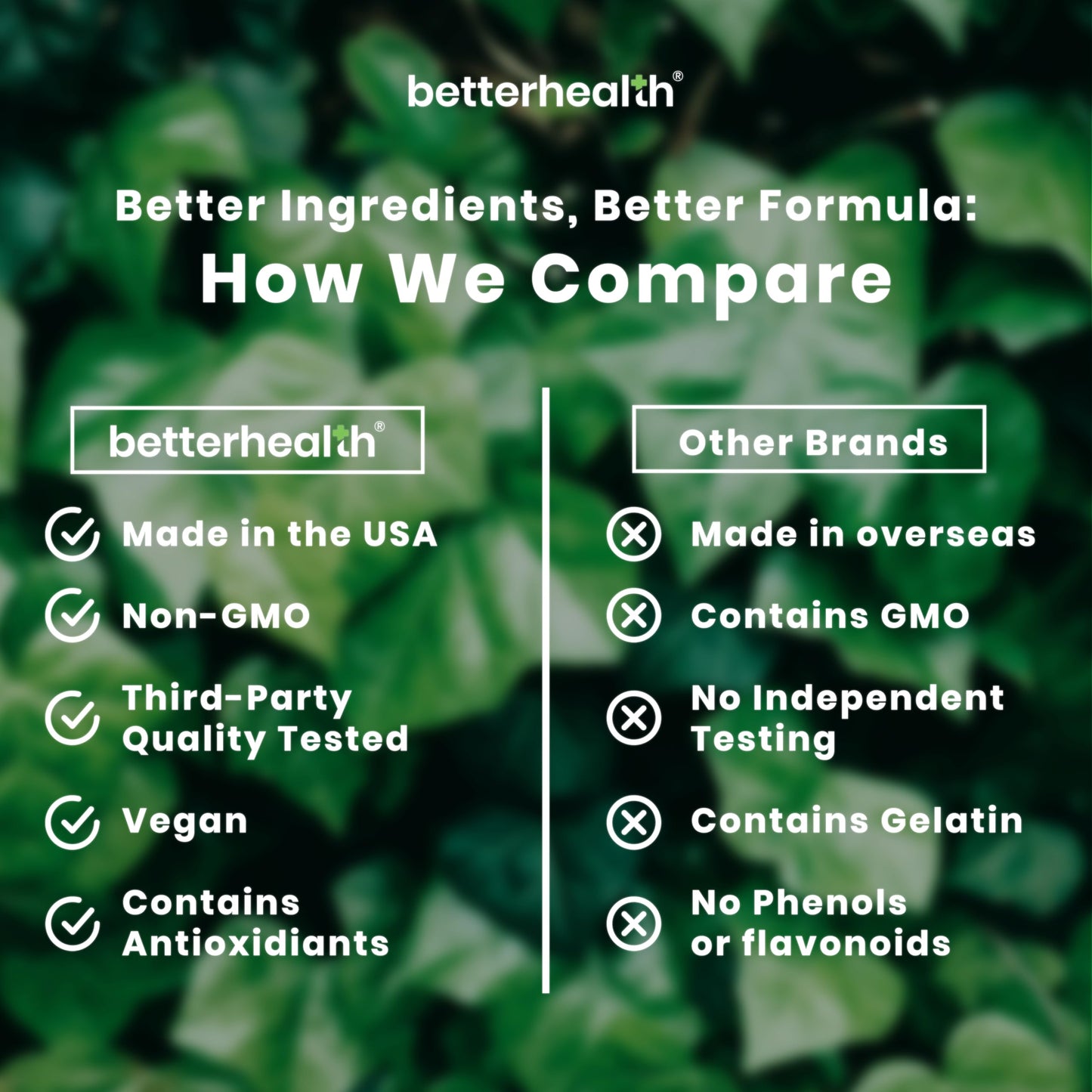 BetterHealth Lung Health Daily β Mullein Leaf, Vitamin D3, Elderberry | Respiratory Support (60 Capsules)