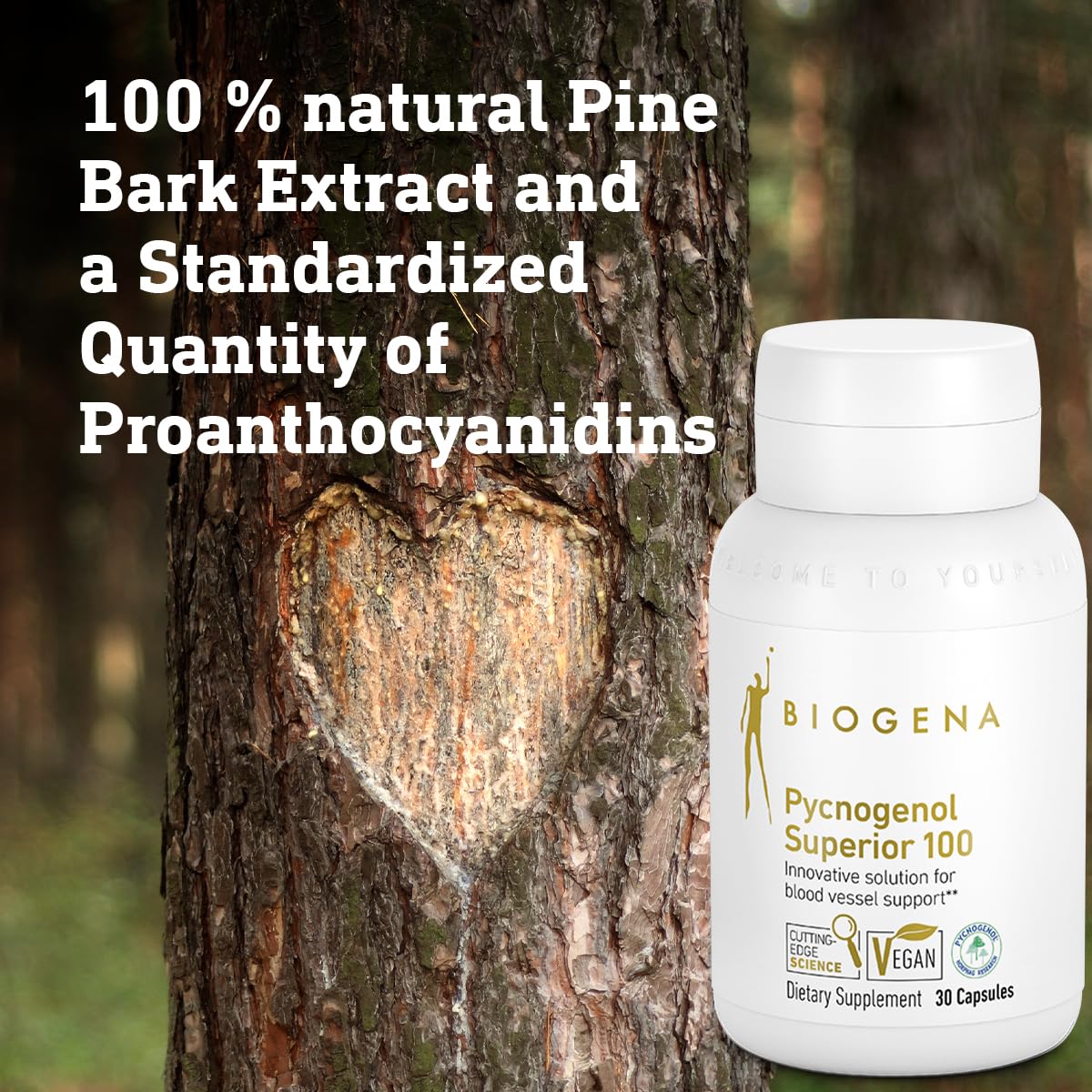 Biogena Pycnogenol 100 mg Gold โ Pine Bark Extract for Blood Circulation