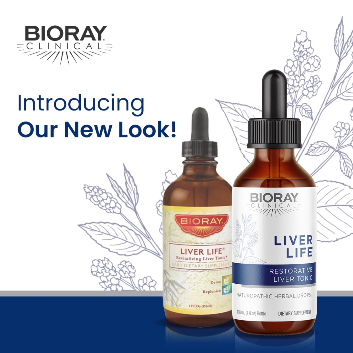 BIORAY Clinical Liver Life โ Liver Support Tincture 4 oz | Non-GMO, Vegetarian, Gluten Free