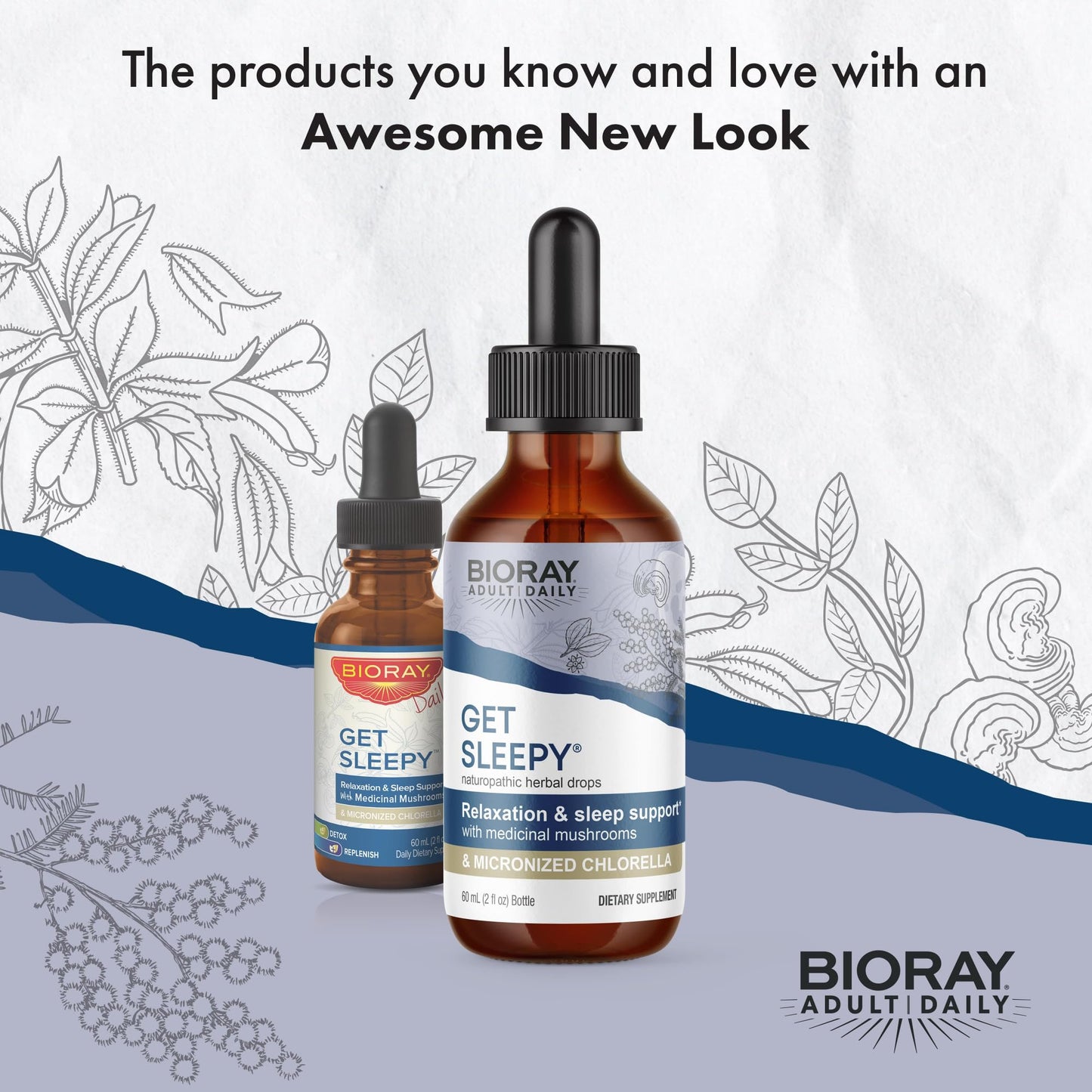 BIORAY Daily Get Sleepy โ Sleep Support Liquid with Medicinal Mushrooms & Micronized Chlorella