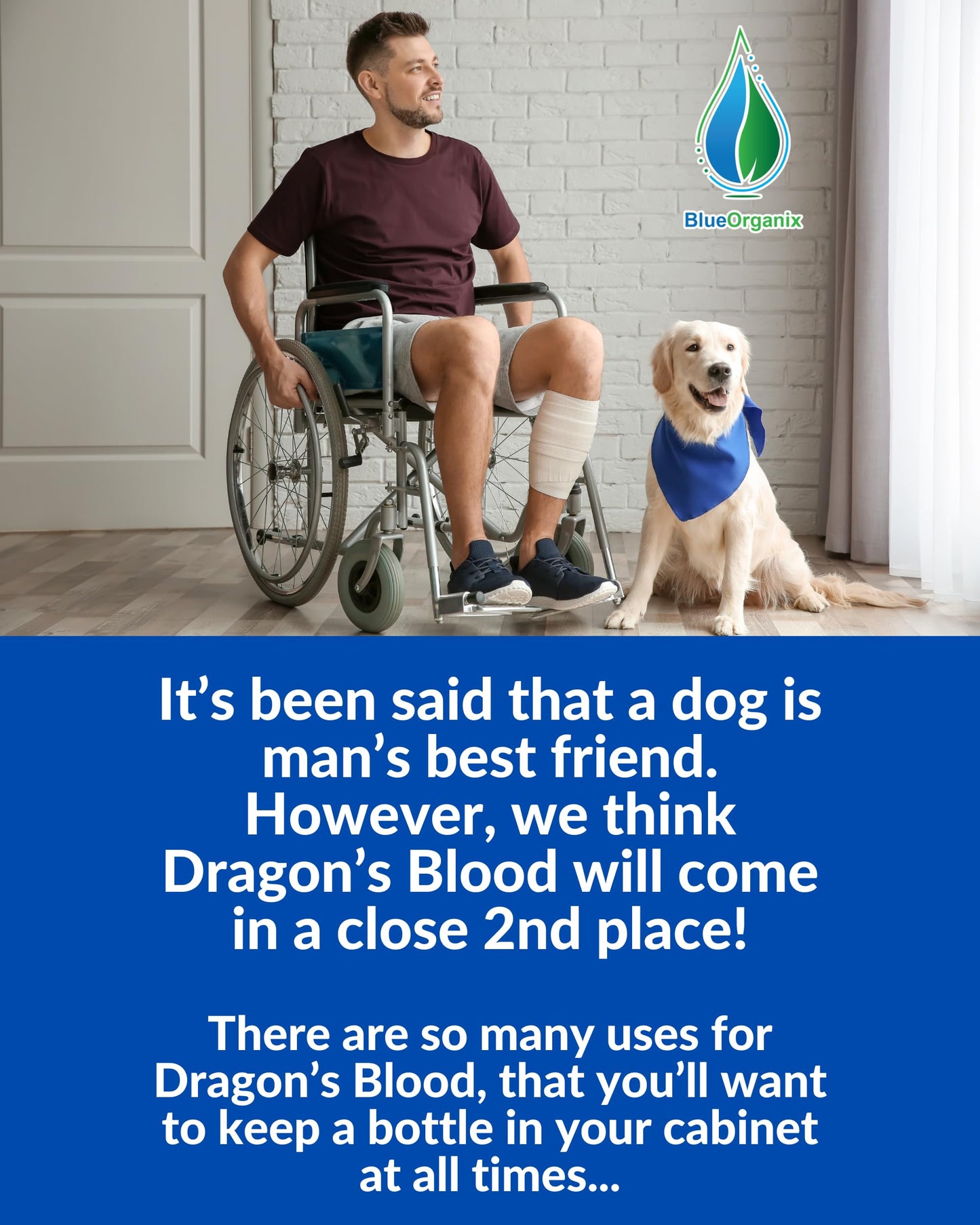 Blue Organix Dragon's Blood Gum Support β 2 oz Sangre de Grado (Croton Lechleri) β 1 Bottle