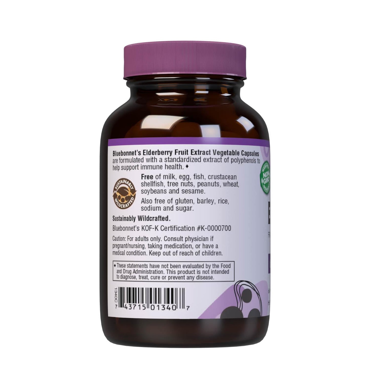 BlueBonnet Elderberry Fruit Extract Supplement, 60 Count โ Immune Support, Vegan