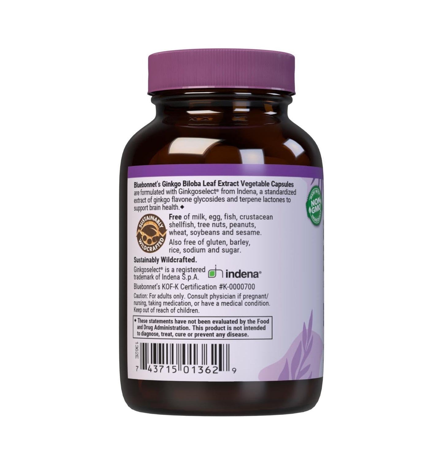 BlueBonnet Ginkgo Biloba Leaf Extract Supplement โ 60 Count | 24% Flavonglycosides, 6% Terpene Lactones | Vegan