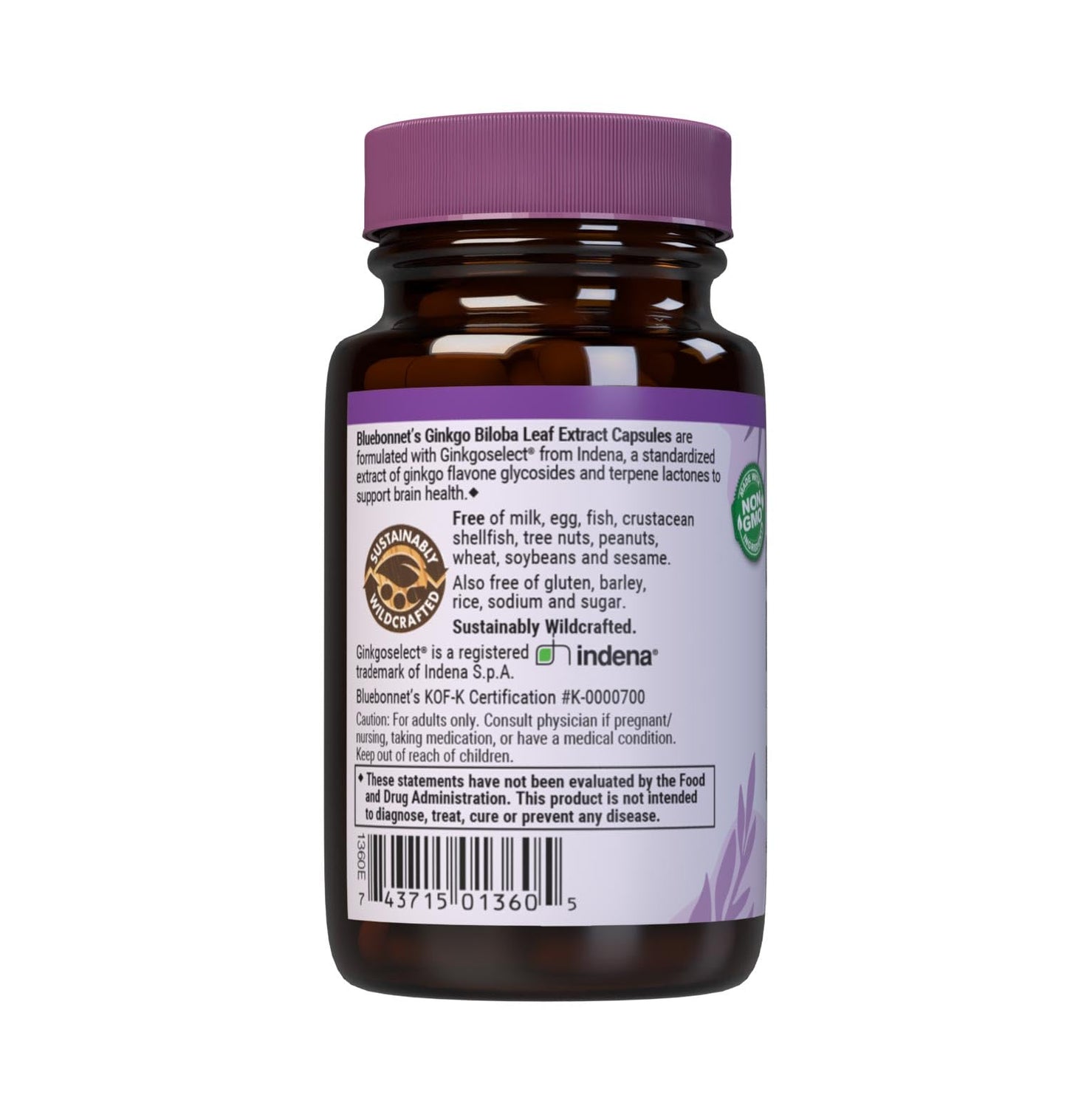 BlueBonnet Ginkgo Biloba Leaf Extract Supplement โ 30 Veggie Capsules