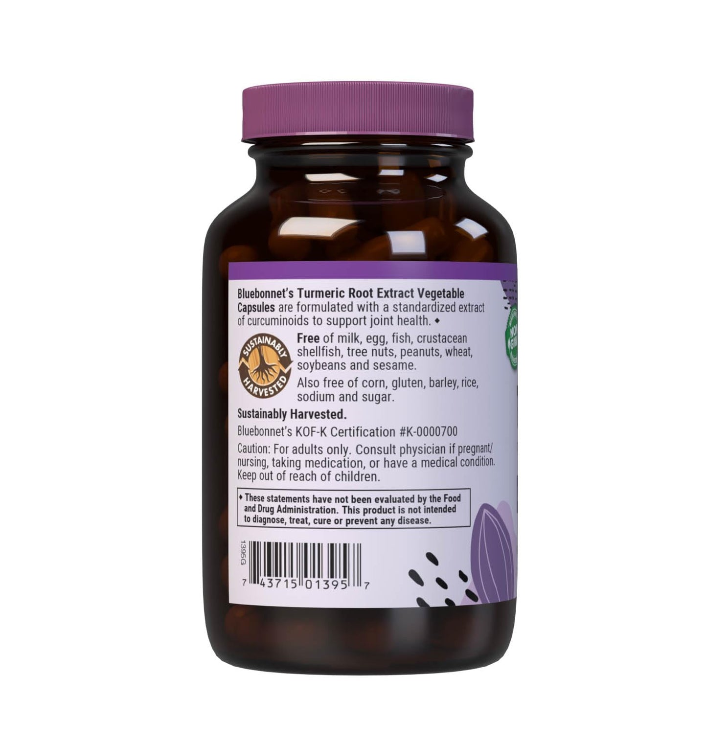 BlueBonnet Turmeric Root Extract Supplement, 120 Count – 380 mg Curcuminoids per Serving, Vegan & Non-GMO