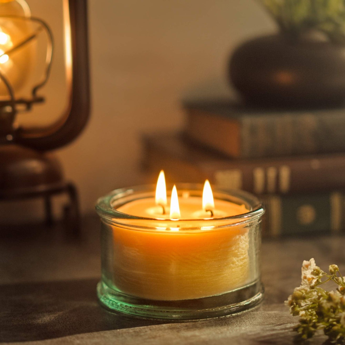 Bluecorn Beeswax 3-Wick Candle, Spruce Scent, 10 oz โ Pure Beeswax, Clean Burning, American Made