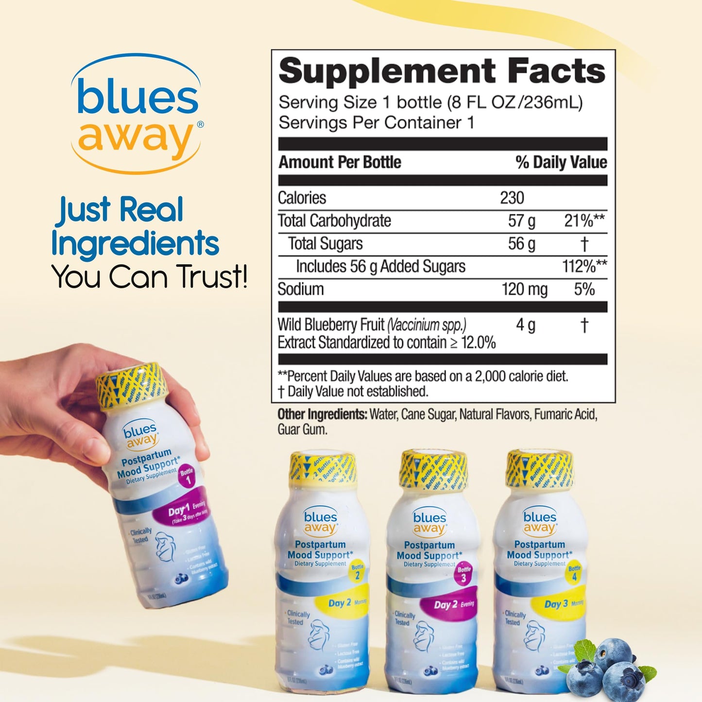 Blues Away Postpartum Mood Support Drink โ 3-Day Shake Kit (4 Bottles)