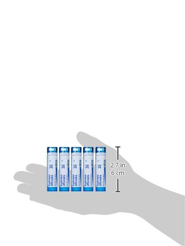 Boiron Euphrasia Officinalis 30C (Pack of 5) โ Eye Discharge Homeopathic Medicine