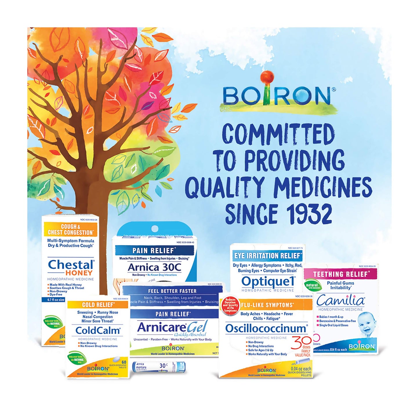 Boiron Hypericum 200CK Nerve Pain Homeopathic Medicine - Pack of 3 (240 Pellets)