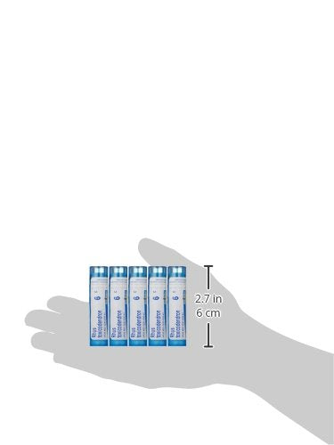 Boiron Rhus Toxicodendron 6C โ 5-Pack, 80 Pellets | Joint Pain Relief