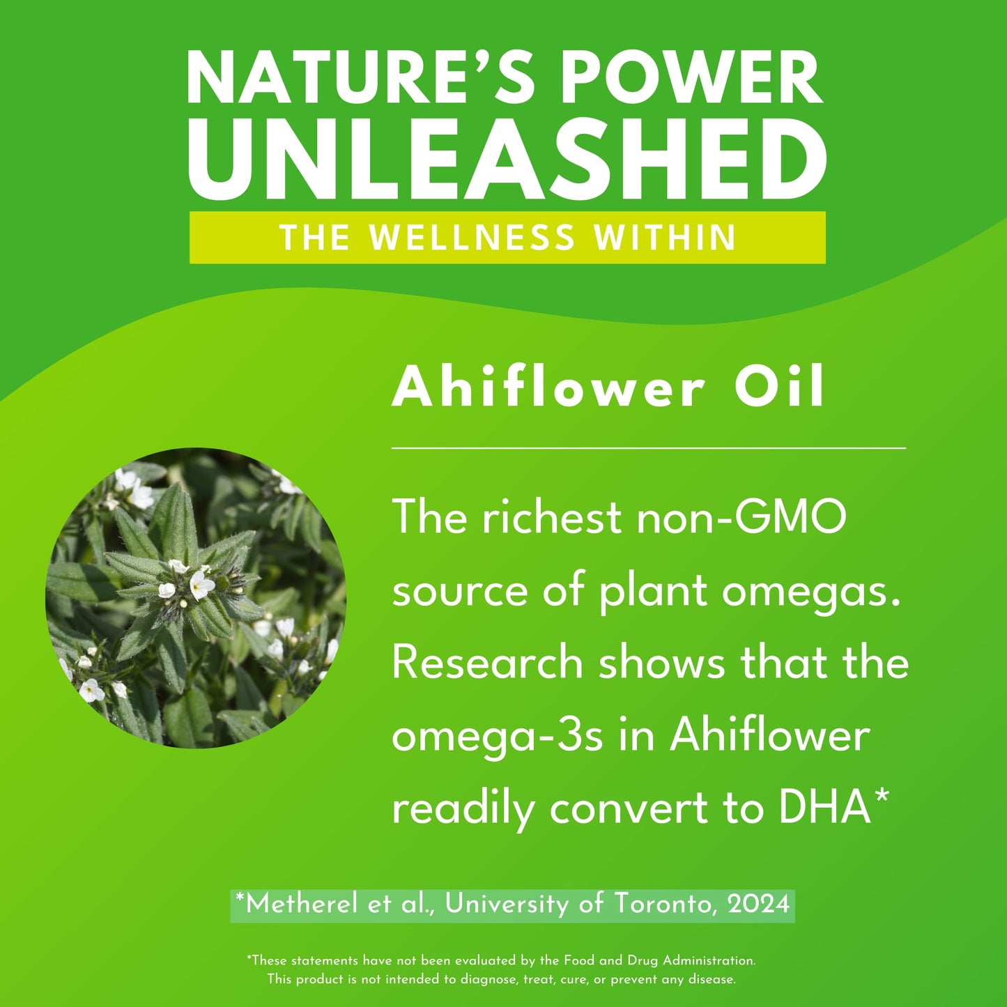 Bold Botanica Plant Omega 3-6-9 with Ahiflower Oil β Vegan, Non-GMO, 4 oz