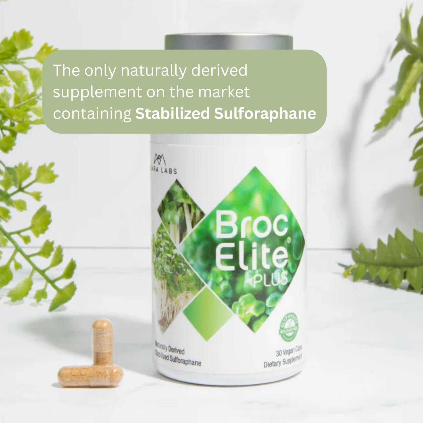 Broc Elite Plus by Mara Labs โ Stabilized Sulforaphane Broccoli, Zero Glyphosate, 30 Veg Capsules