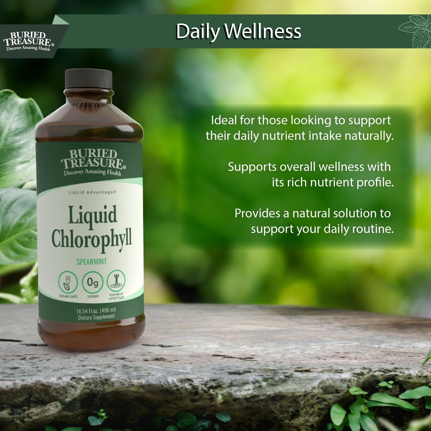 Buried Treasure Liquid Chlorophyll 100 mg โ Energy & Immune Support, Detox (Spearmint, 16 oz)