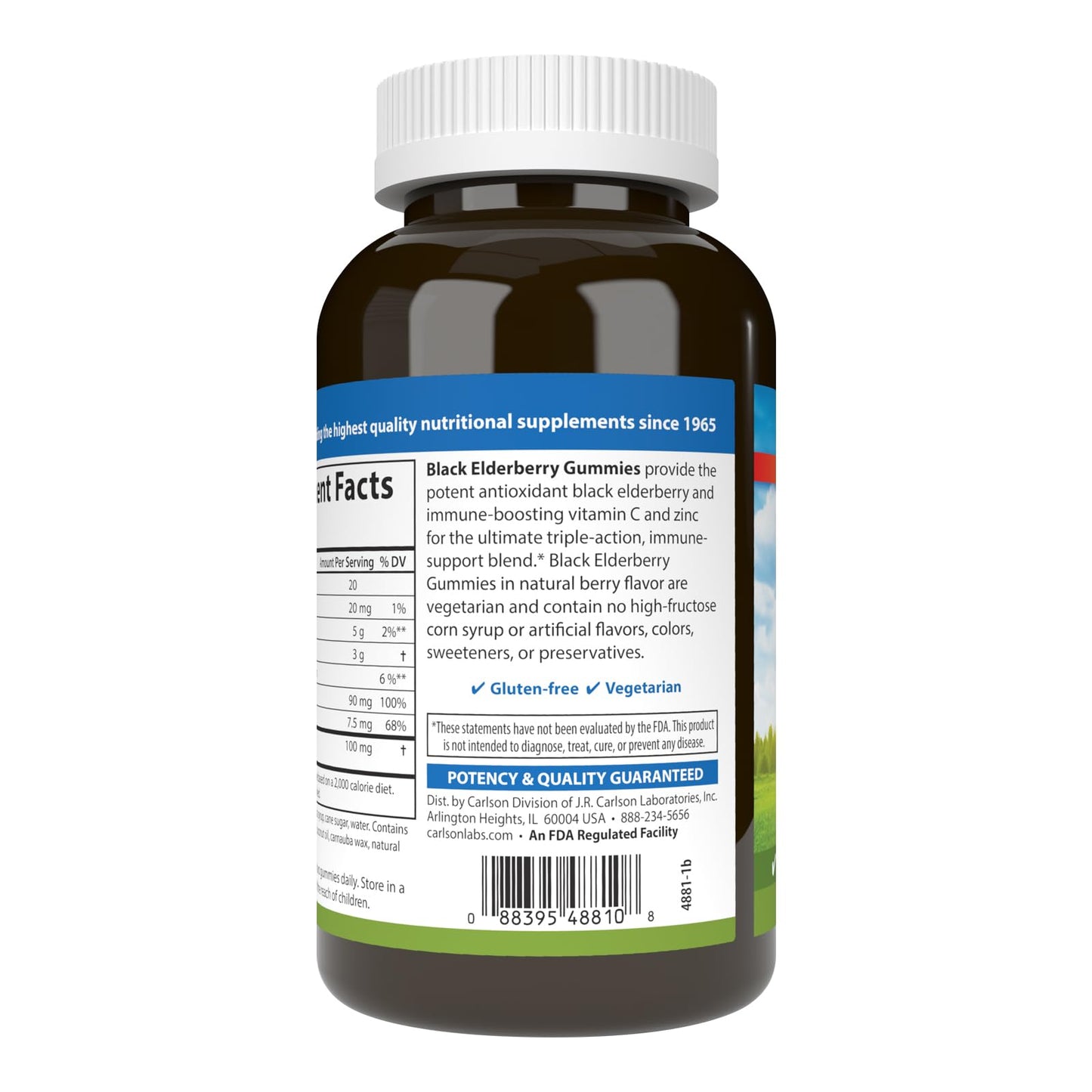 Carlson Black Elderberry Gummies with Vitamin C & Zinc | Immune Support | 120 Gummies