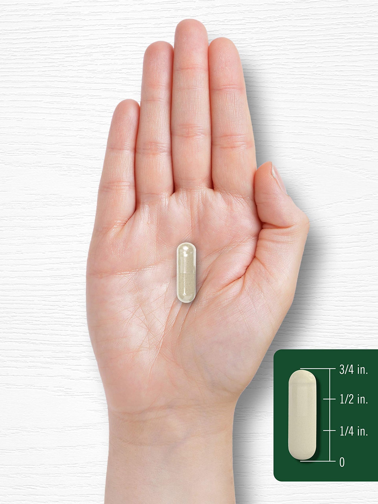 Carlyle Gymnema Sylvestre 600mg Capsules โ 200 Count | Non-GMO & Gluten Free