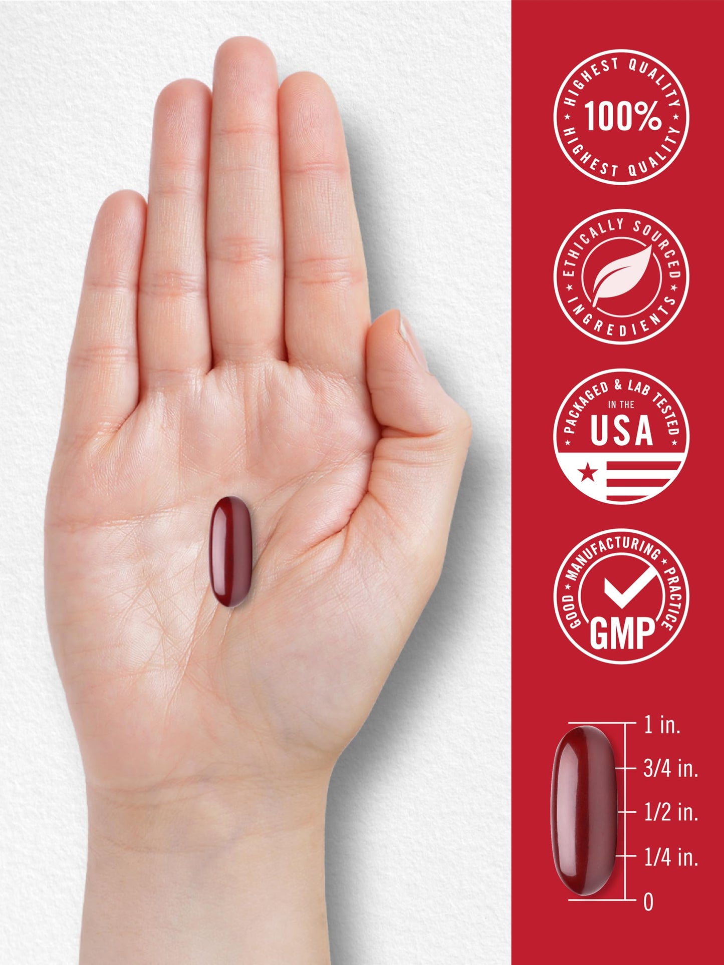 Carlyle Antarctic Krill Oil 2000 mg โ 120 Softgels (Pack of 2) | Omega-3 EPA/DHA + Astaxanthin