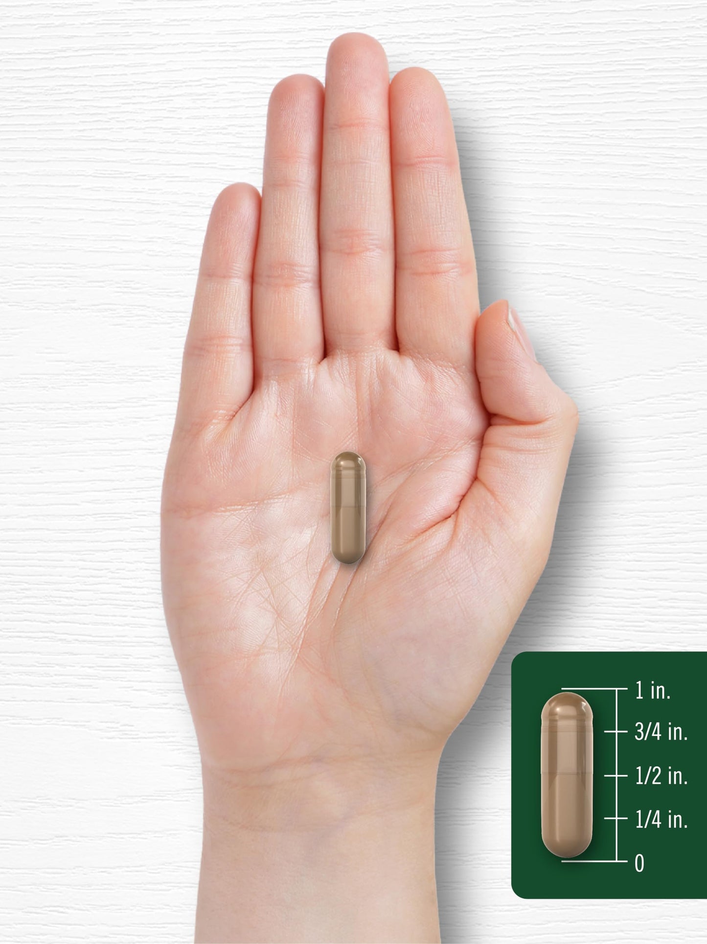Carlyle Olive Leaf Extract Capsules โ 9,000 mg, 100 Count, Non-GMO