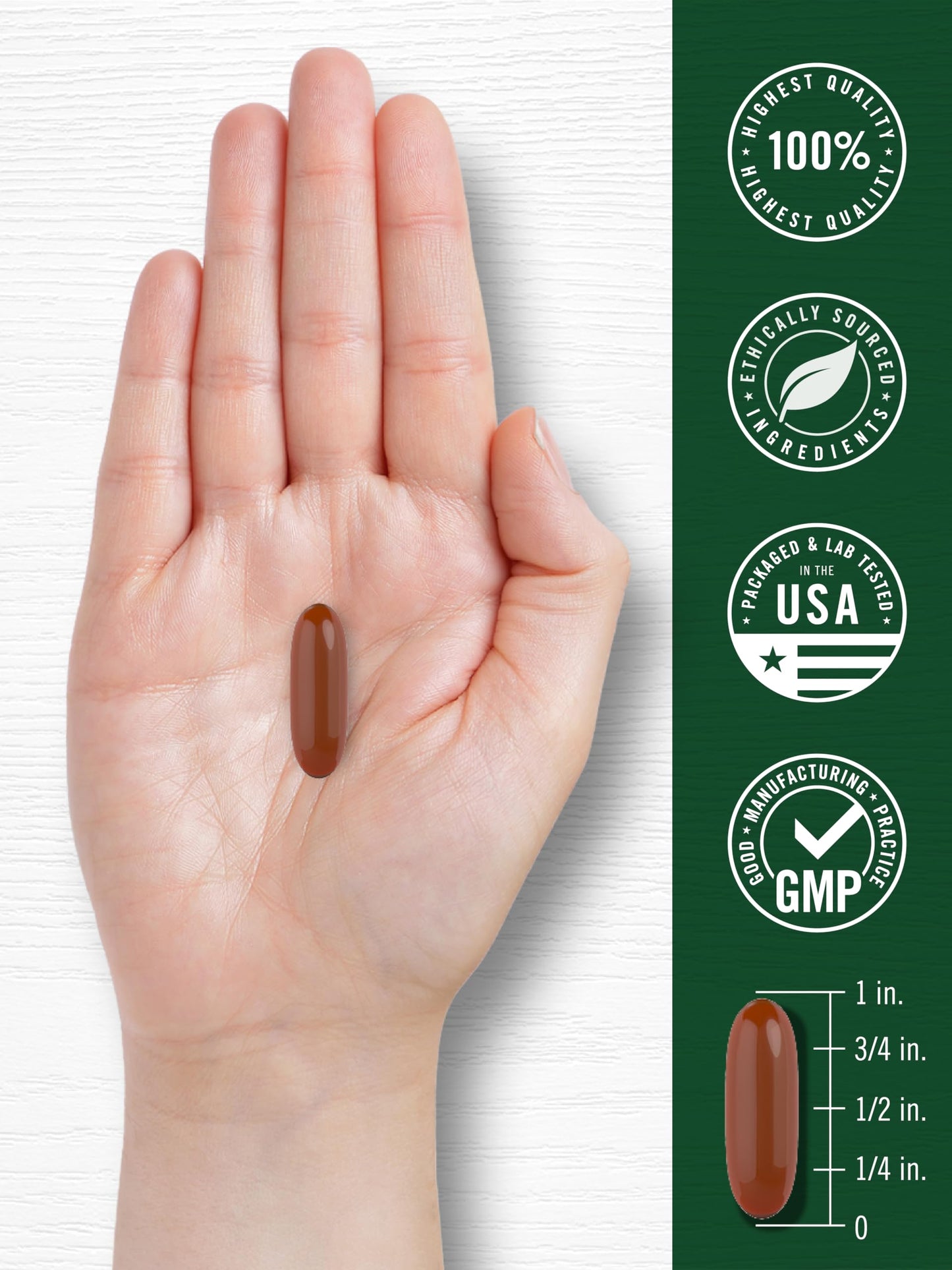 Carlyle Sunflower Lecithin Softgel Capsules 2400mg | 200 Count | Non-GMO, Soy Free, Gluten Free