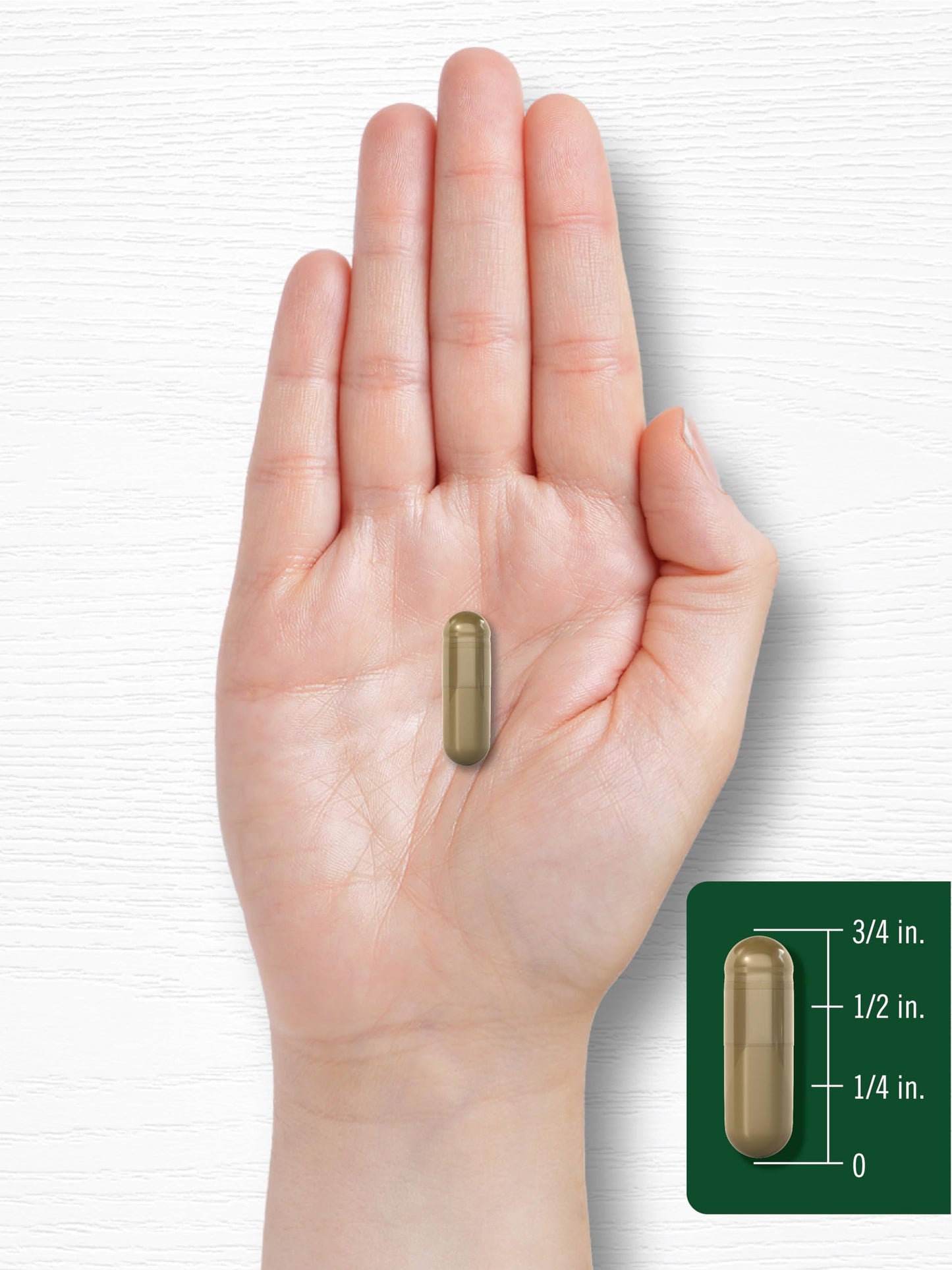Carlyle Ginkgo Biloba Pills โ 6000mg per Serving | 200 Capsules | Bacopa Extract | Extra Strength, Non-GMO & Gluten Free