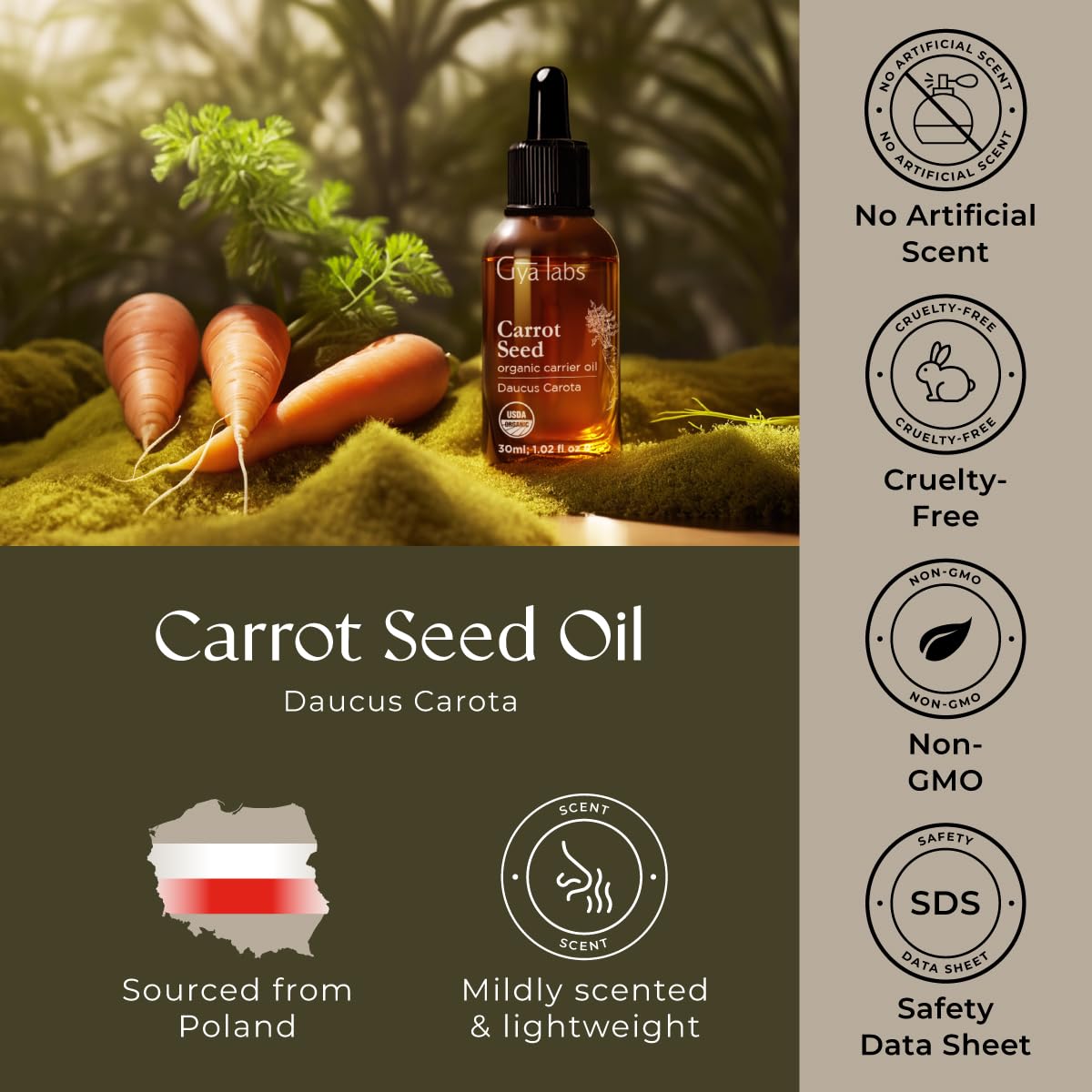 Gya Labs Carrot Seed Carrier Oil โ 1 Fl Oz for Hair, Skin, Face & Body Massage