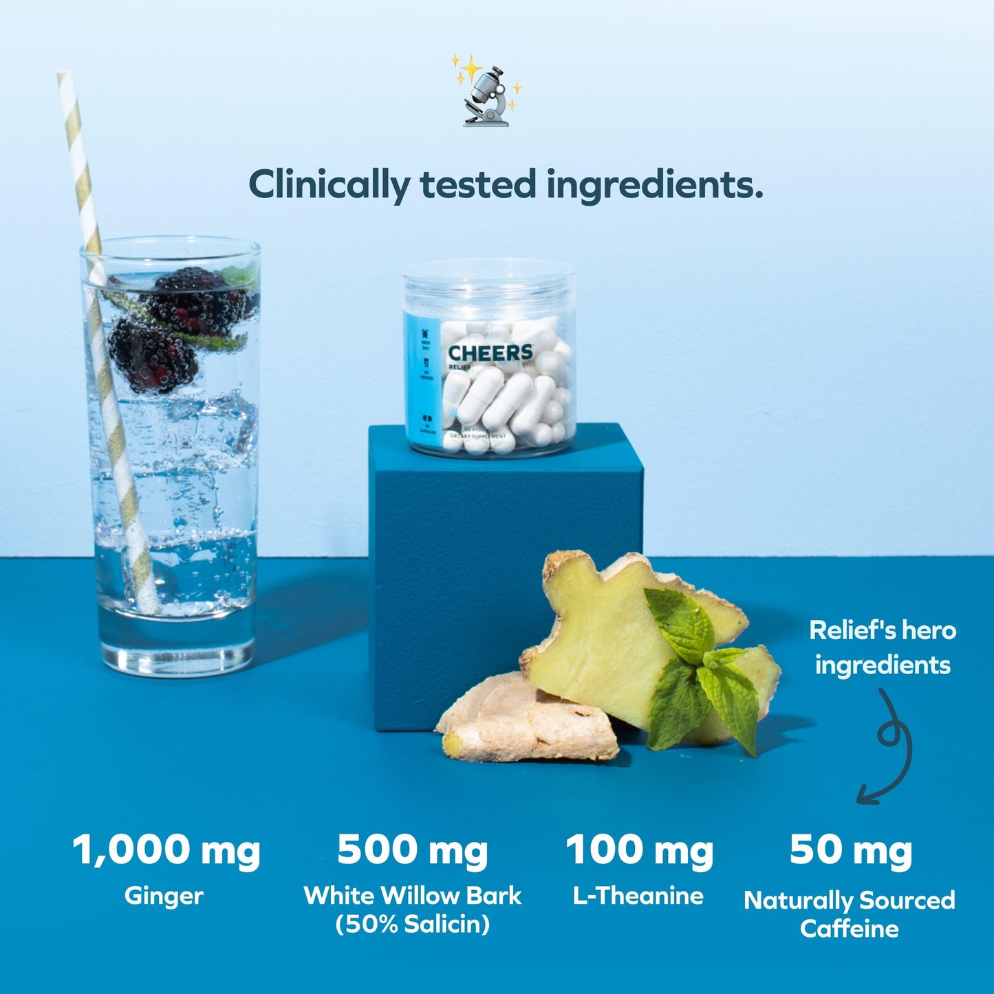 Cheers Relief โ Next Morning Aid with Ginger, Willow Bark, L-Theanine & Caffeine | 12 Doses