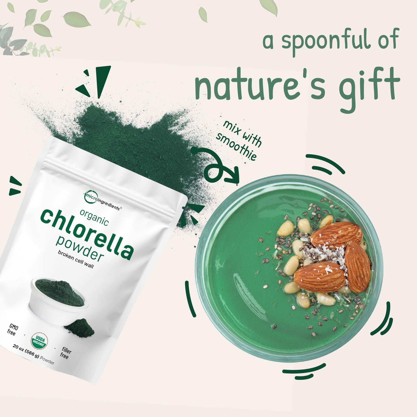 Micro Ingredients Organic Chlorella Powder โ 20 oz | Broken Cell Wall | Vegan & Non-GMO