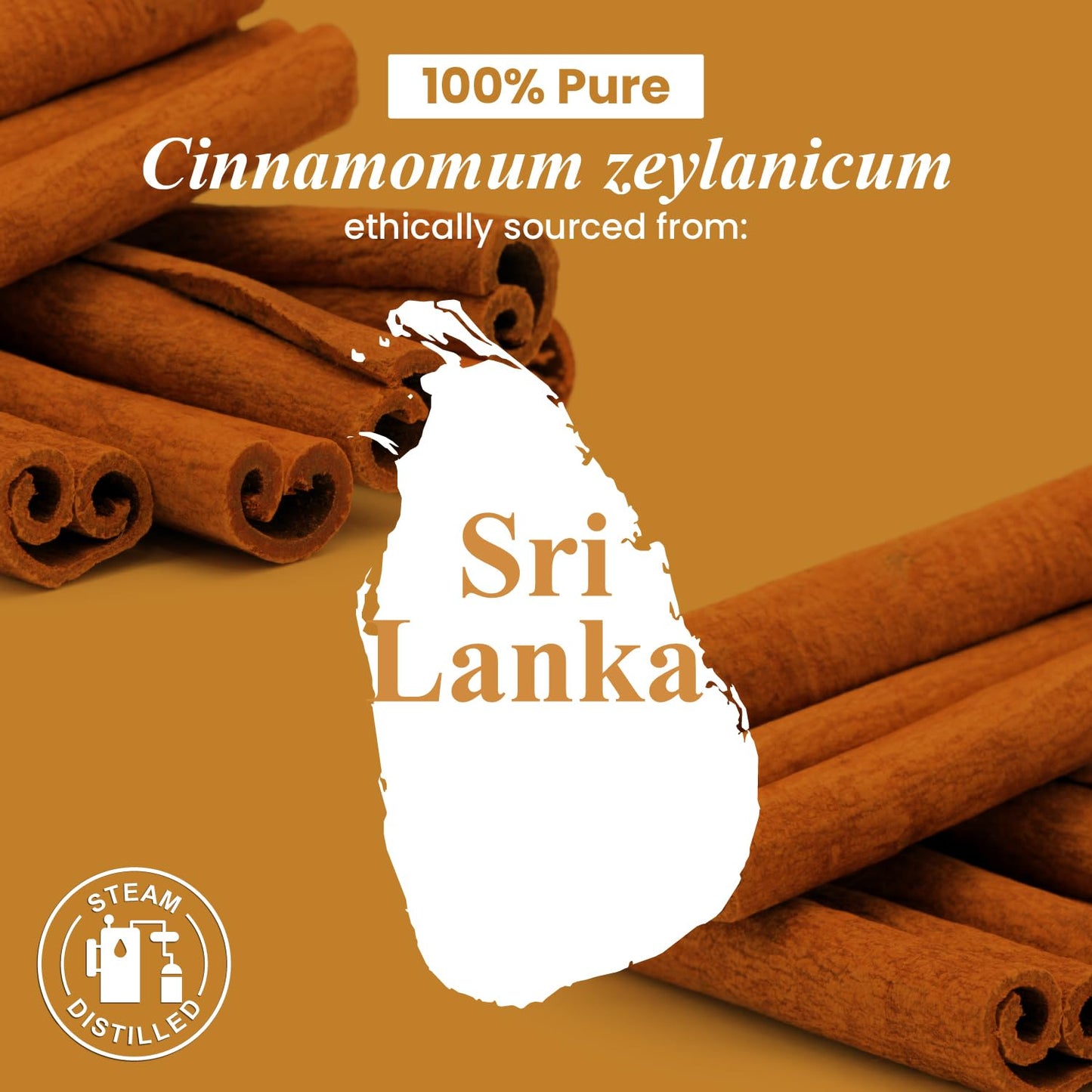 Handcraft Blends Cinnamon Essential Oil โ 4oz | 100% Pure & Natural, Premium Grade