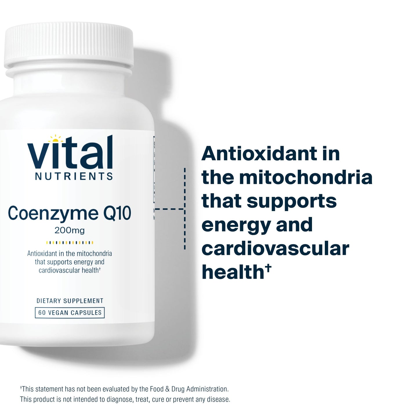 Vital Nutrients CoQ10 200mg β Vegan CoQ10 for Heart Health & Energy | Gluten, Dairy & Soy Free | 60 Capsules